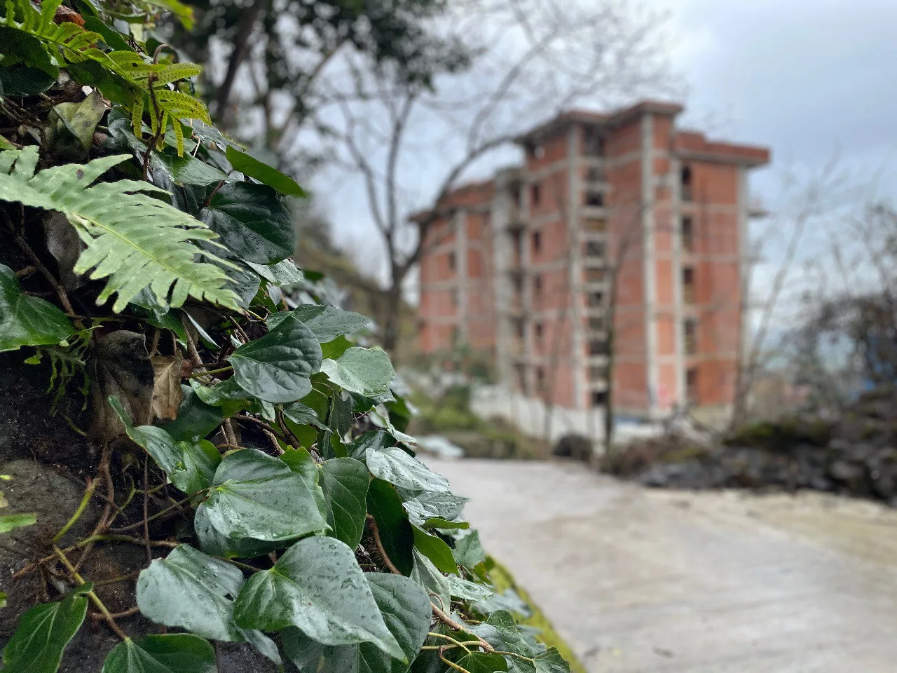 10.01.2024 — Elite Family Residence